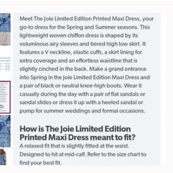 Joie Parisian Paisley Lined Maxi Tiered Boho Chiffon Dress Blue NEW Size 2X - Picture 14 of 14